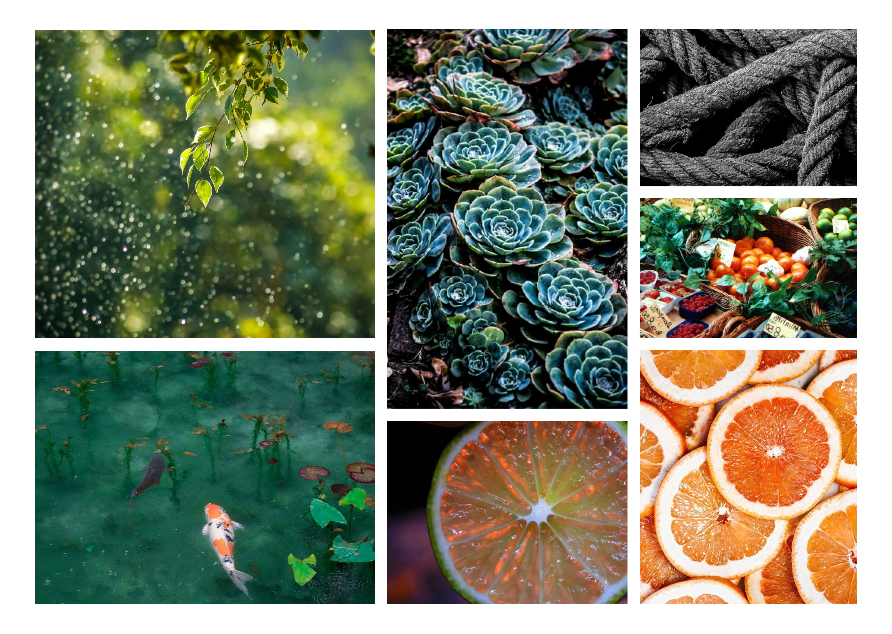 moodboard_02